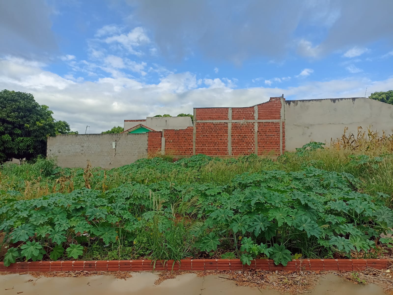 Ref: 241 -Terreno - Jardim Paraiso