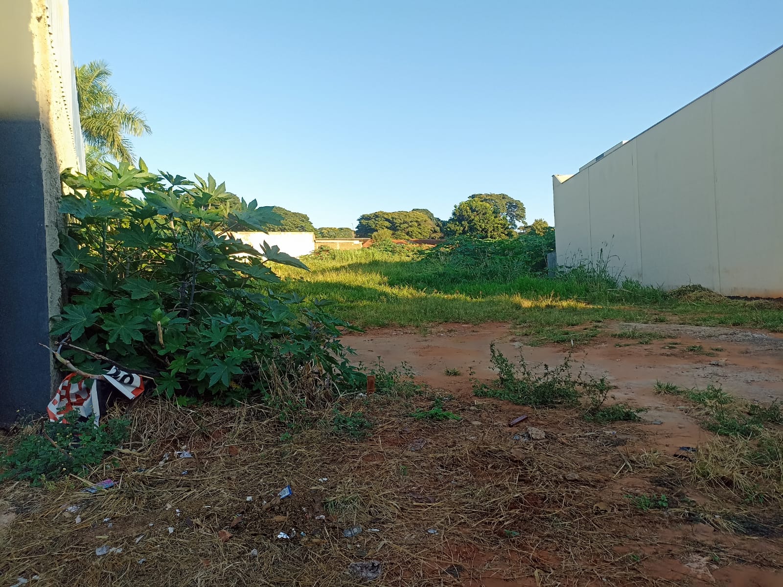 Ref: 789 - Terreno para fins residencial ou comercial